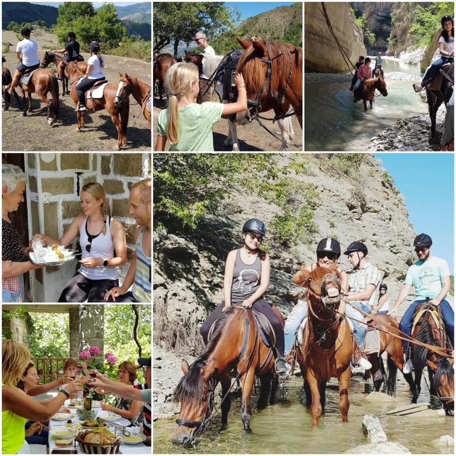 Funky Guest House&adventures 3*