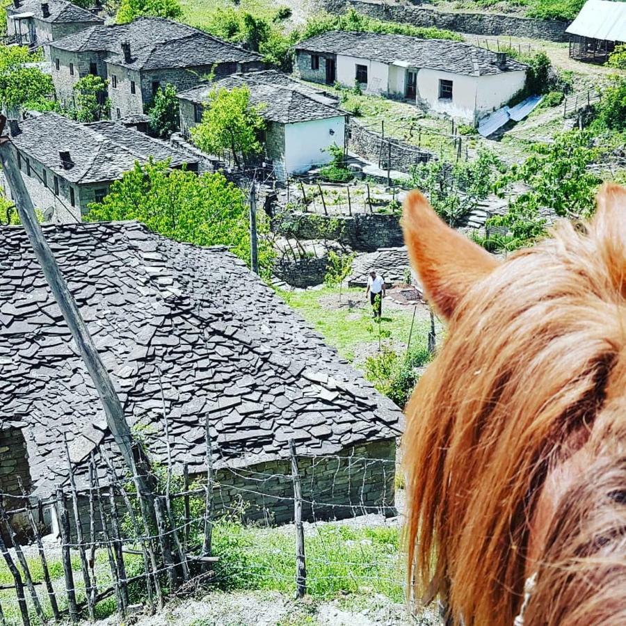 Gasthof Funky Guest House&adventures