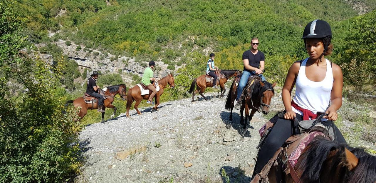 Gasthof Funky Guest House&adventures 3*